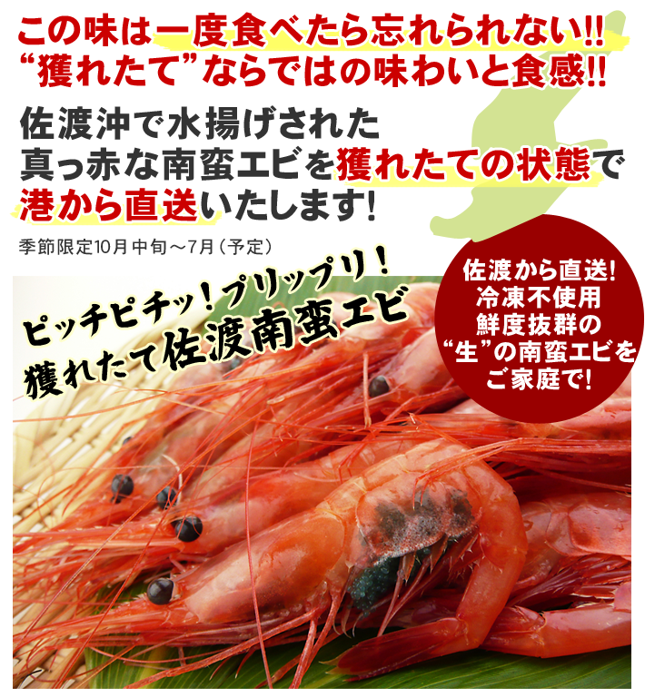 南蛮エビ生 1kg(70尾~80尾)