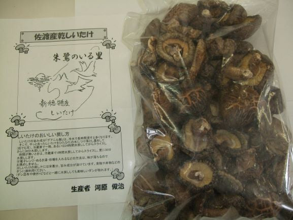 乾燥椎茸